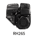 Kohler RH 265 Small Engine Emission Control